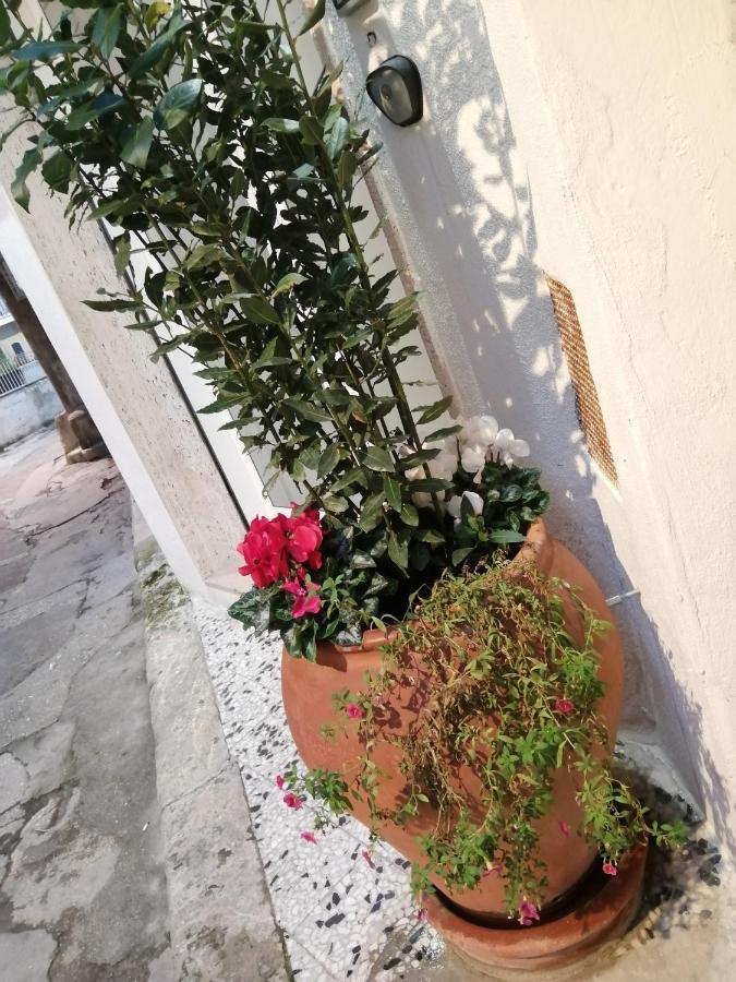 Relax Santa Cecilia Appartement Gravina in Puglia Buitenkant foto